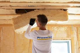 Best Insulation Removal  in Brodhead, KY